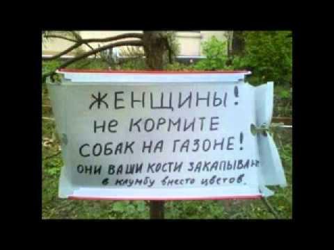 Прикольные надписи